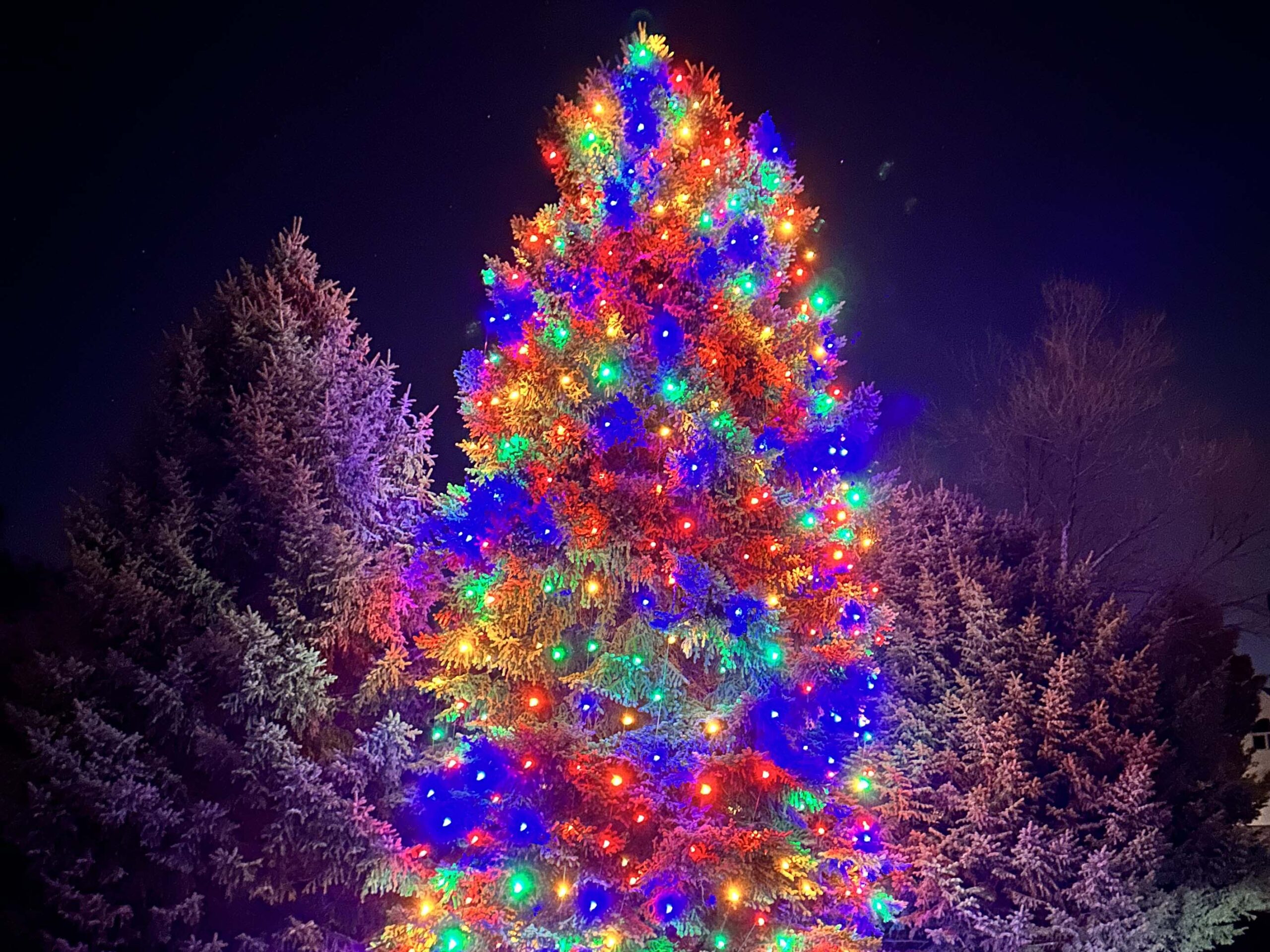 C7 50 ft tree lighting