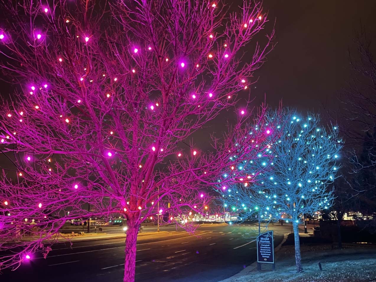 teal and pink Christmas tree lighting